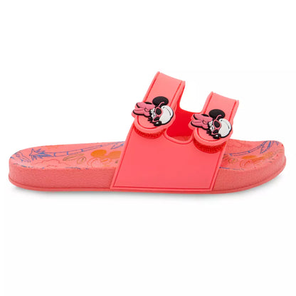 Minnie Mouse Summer Slide