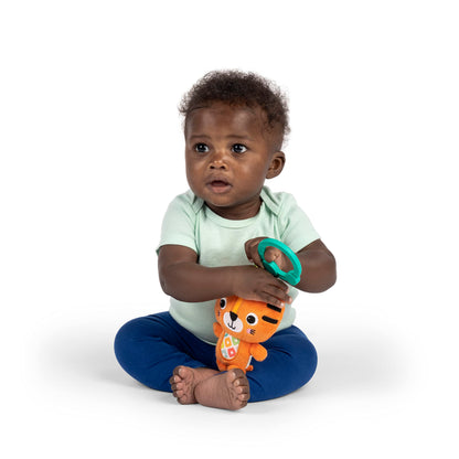 Jingle Joy Reach & Rattle Toy for Stroller - Unisex, Newborn +